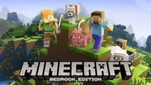 Minecraft 1.21.100 1